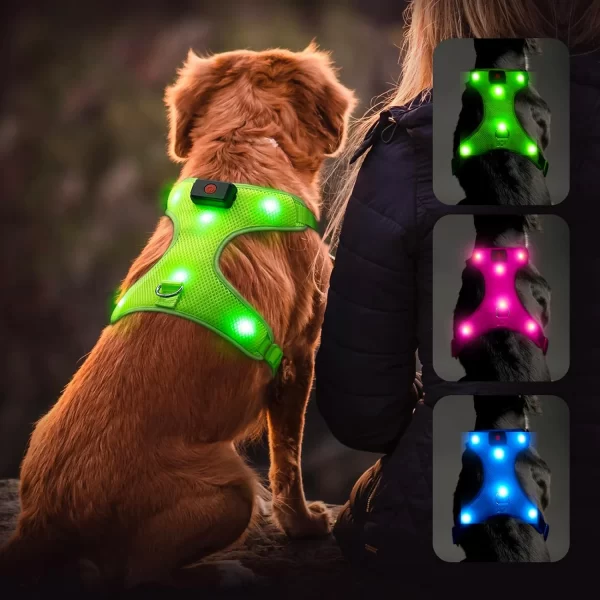 Illuminated Reflective Blue Glowing LED Dog Harness with Adjustable Soft Padded Design - No-Pull, USB Rechargeable - Image 8