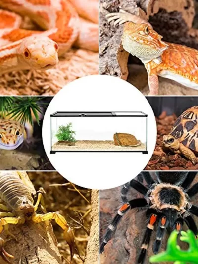 20 Gallon Dual Top Sliding Reptile Glass Terrarium Easy Clean Tank Snake Hamster Hedgehog Patented Design Waterproof PVC Tray