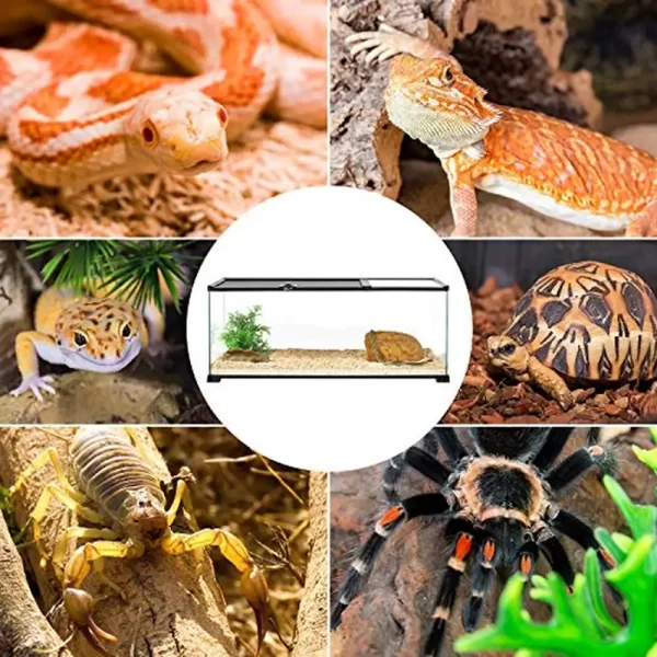 20 Gallon Dual Top Sliding Reptile Glass Terrarium Easy Clean Tank Snake Hamster Hedgehog Patented Design Waterproof PVC Tray
