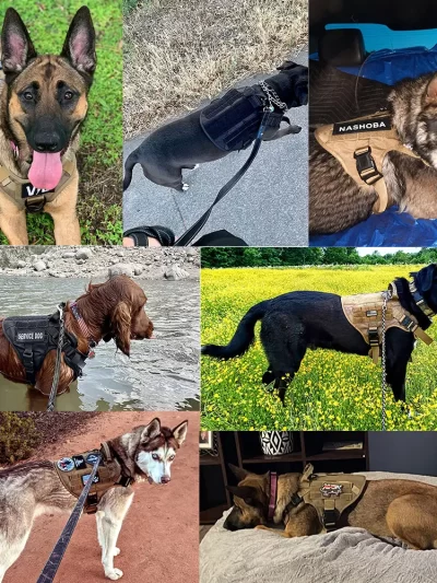 Large Dog Harness And Leash Set Pet German Shepherd Malinois Training Walking Vest Dog Harness And Collar For Medium Large Dogs