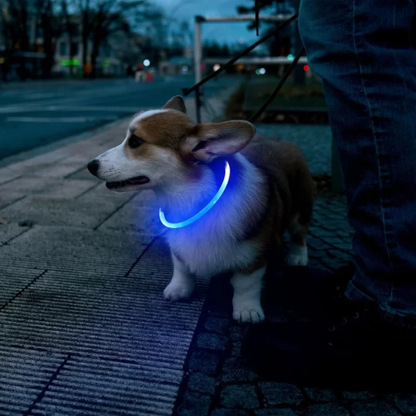 HiGuard LED Dog/Cat Collar USB Rechargeable Glowing Collars Lighted Up Safety Necklace Glow in the Dark - Image 6