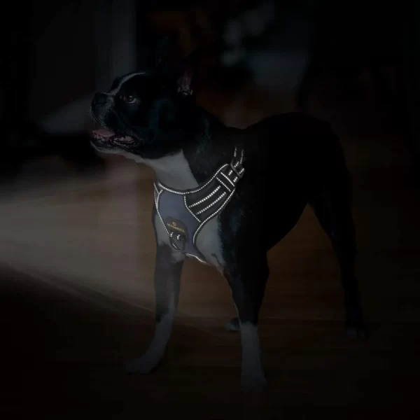 MASBRILL Dog Harness No Pull Nylon Adjustable Reflective Dog Vest Harness 2 Metal Leash Hooks Easy Control Handle Walking - Image 7