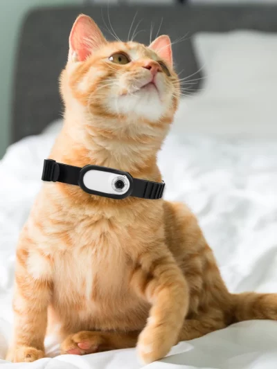 HD 1080P Wireless Collar Camera No Wi-Fi Needed Dog Cat Camera Collar Nanny Camera Video Records
