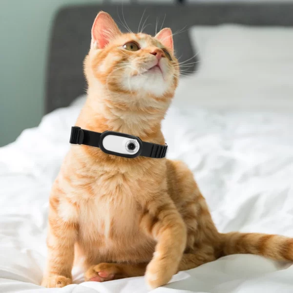 HD 1080P Wireless Collar Camera No Wi-Fi Needed Dog Cat Camera Collar Nanny Camera Video Records