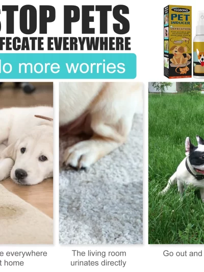 Dog Potty Training Spray Cats Kitten Outdoor Urine Poops Stool Location Helps Puppies Toilet Pet Positioning Defecation Inducer