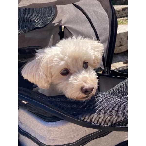 Wedyvko Portable pet trolleys 3 Wheels Pet Strollers Outdoor Travel Carrier Cat Dog Cart Strollers - Image 3