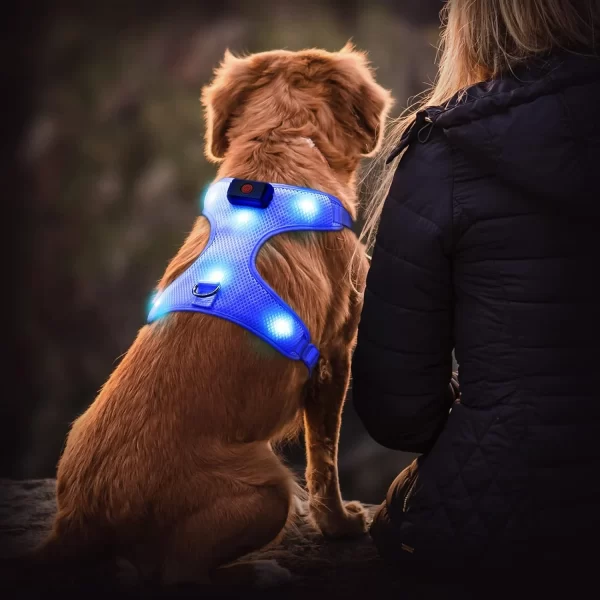 Illuminated Reflective Blue Glowing LED Dog Harness with Adjustable Soft Padded Design - No-Pull, USB Rechargeable - Image 2