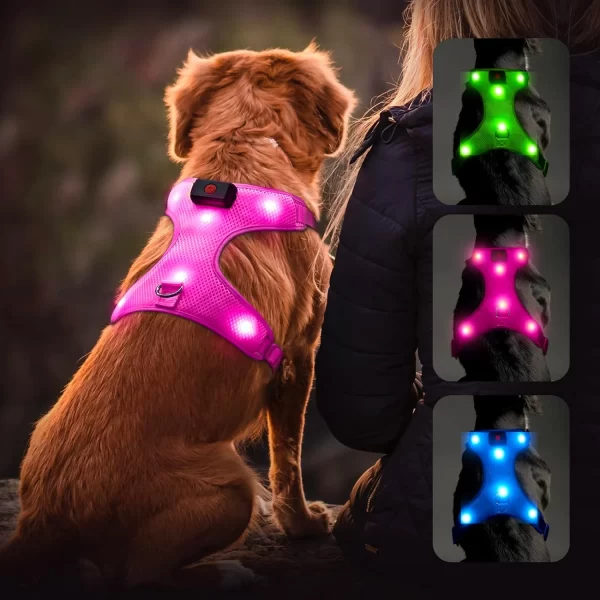 Illuminated Reflective Blue Glowing LED Dog Harness with Adjustable Soft Padded Design - No-Pull, USB Rechargeable - Image 7