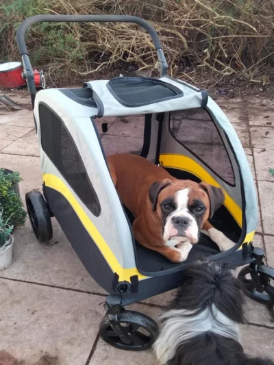Premium Dog Stroller Pram 4 Wheel Foldable Cart Travel Walk Pet Jogger Wagon for Small Medium Large Dogs