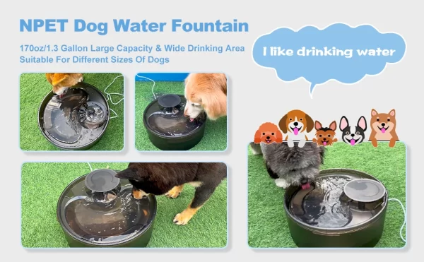 NPET DF10 Dog Water Fountain, 170oz/1.3Gallon/5L Large Automatic Pet Water Dispenser Dog Water Bowl for Dogs, Multiple Pets - Image 6