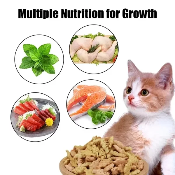 Cat Biscuits Salmon Snacks Chicken Tuna Multiplicity Nutrition Health Easy To Eat Digest Crispy Catnip Fish Biscuits Pet Snacks - Image 3