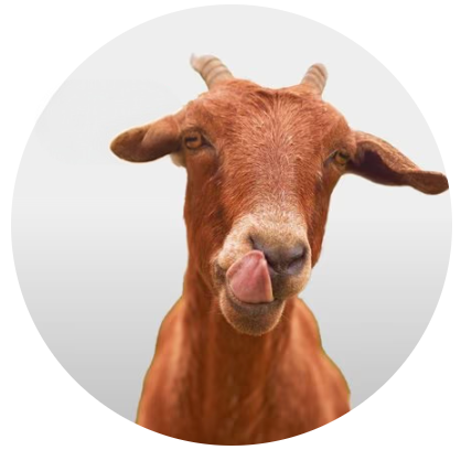 divi-cart-pro-category-icon-6