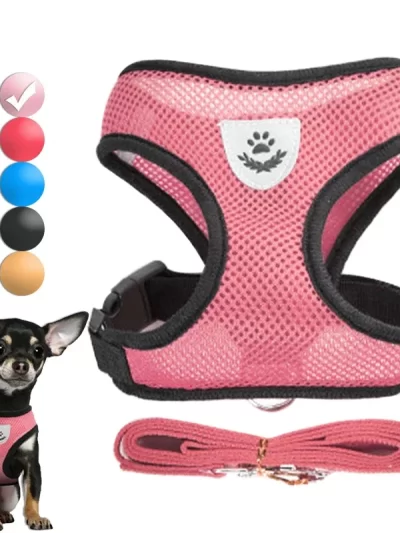 Dog Harness for Small Dogs Adjustable Pet Harness And Leash Set Breathable Vest
