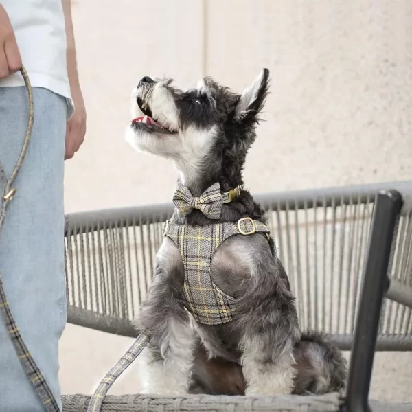 Cute Adjustable Dog/Cat Harness Collar Leash Set, Soft Plaid Design - Image 4