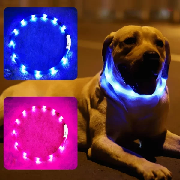 LED Dog Collar, USB Rechargeable Glowing Collars, Light Up Collar Improved Pet Safety &Visibility at Night, 3 Flashing Modes, - Image 12