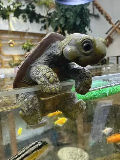 Resin Turtle Statue Flower Pot Hanger Planter Edge Decoration Simulation Tortoise Figurine Home Garden Fish Tank Small Ornaments