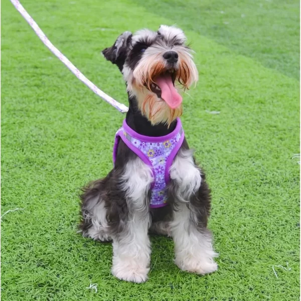 Reflective No Pull Dog Harness and Leash Set Floral Pattern Step in Padded Mesh Vest All Weather Use