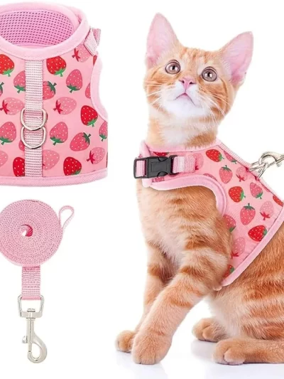 Cat Harness with Leash Fashionable Breathable Mesh Adjustable Vest