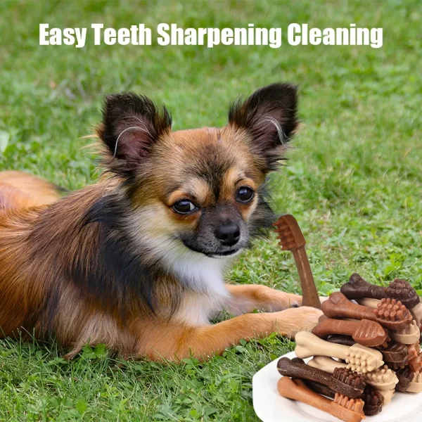 Dog Bruxism Stick Toothbrush Bone Shape Fresh Delicious Nutritious Healthy Adult Dogs Puppy Training Rewards Pet Snacks - Image 3