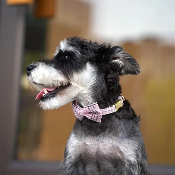 Small Dog Harness Collar Leash Set Adjustable Soft Plaid Design - Image 4