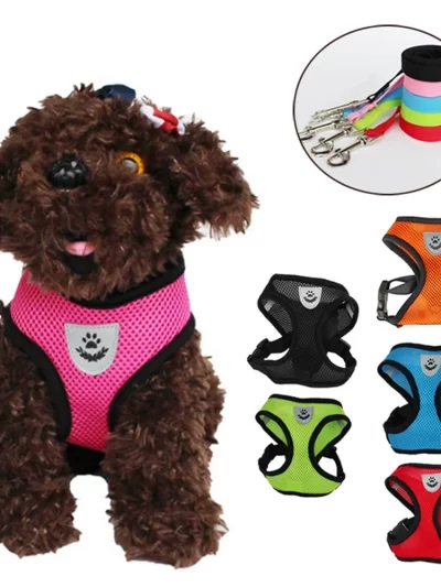 Dog/Cat Adjustable Harness Vest Walking Lead Leash For Puppy's Dogs Cats Polyester Harness For Small, Medium Dog and Cats