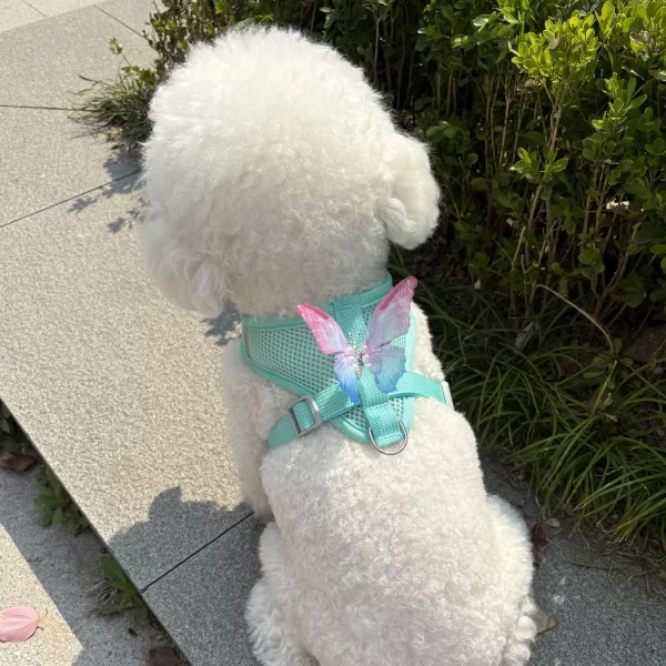 Cute Butterfly, Breathable Dog Harness Set for Small Dogs Cat Puppy Chest Vest Leash