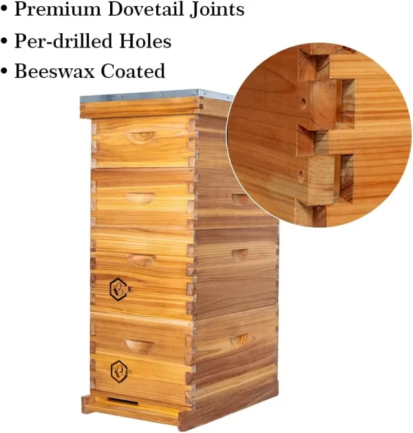 8 Frame Langstroth Bee Hive Coated with 100% Beeswax Includes Beehive Frames and Waxed Foundations (2 Deep Boxes&2 Medium Boxes) - Image 2