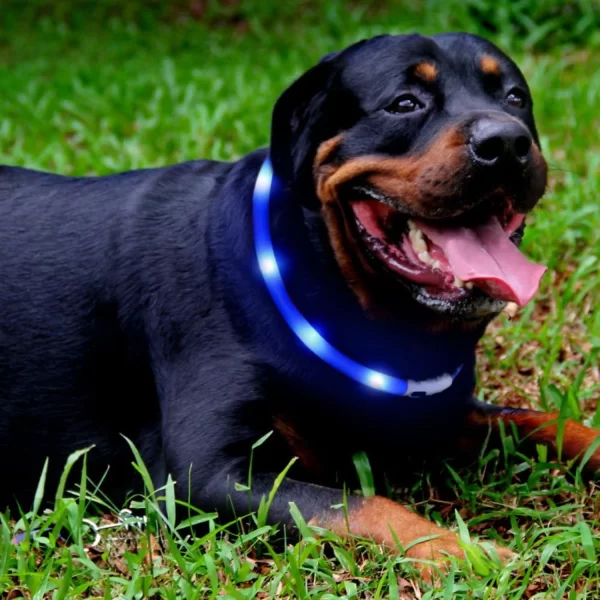 LED Dog Collar, USB Rechargeable Glowing Collars, Light Up Collar Improved Pet Safety &Visibility at Night, 3 Flashing Modes, - Image 2