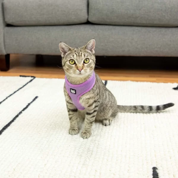 Purple Sparkle Cat Harness and Leash Set Adjustable Comfortable Unique Design Cats Kittens - Image 4
