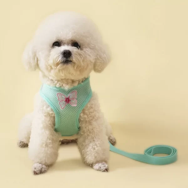Cute Butterfly, Breathable Dog Harness Set for Small Dogs Cat Puppy Chest Vest Leash - Image 2