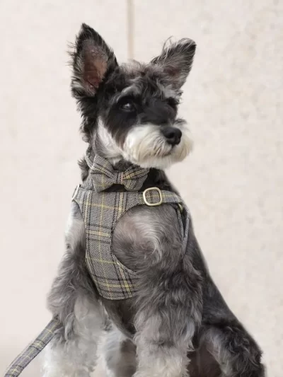 Cute Adjustable Dog/Cat Harness Collar Leash Set, Soft Plaid Design