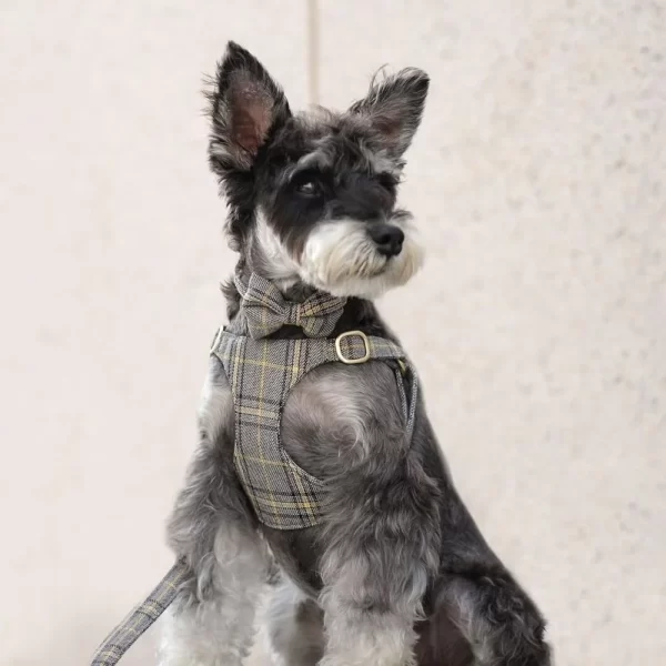 Cute Adjustable Dog/Cat Harness Collar Leash Set, Soft Plaid Design