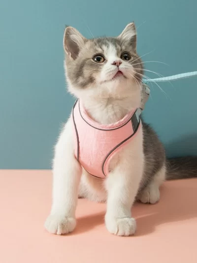 Harness Leash Set Breathable for Kittens Cats Small Dogs Harness With Reflective Strip
