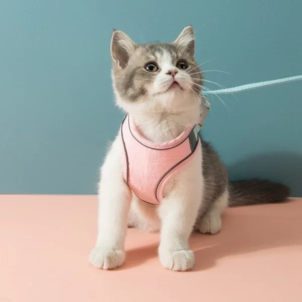 Harness Leash Set Breathable for Kittens Cats Small Dogs Harness With Reflective Strip