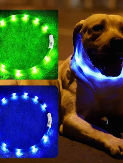 LED Dog Collar, USB Rechargeable Glowing Collars, Light Up Collar Improved Pet Safety &Visibility at Night, 3 Flashing Modes,