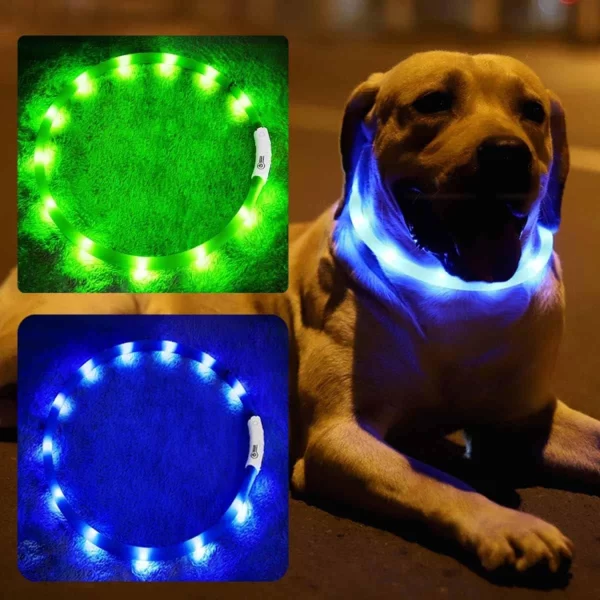 LED Dog Collar, USB Rechargeable Glowing Collars, Light Up Collar Improved Pet Safety &Visibility at Night, 3 Flashing Modes,