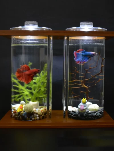 Glass Betta Fish Tank Bamboo Base Mini Aquarium Fish Tank
