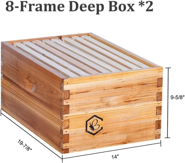 8 Frame Langstroth Bee Hive Coated with 100% Beeswax Includes Beehive Frames and Waxed Foundations (2 Deep Boxes&2 Medium Boxes) - Image 3
