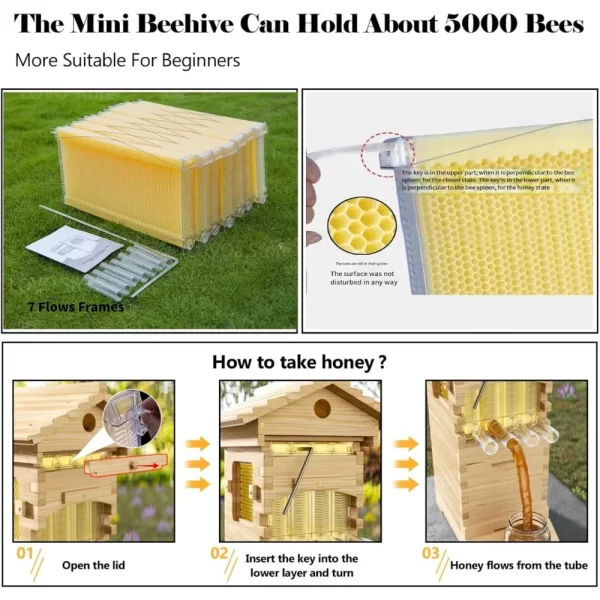Beehive Starter Kit Includes 7 Hive Frames, 1 Super Box and 1 Brood Box for Backyard Beekeeping Bees (Beeswax Coated). - Image 4