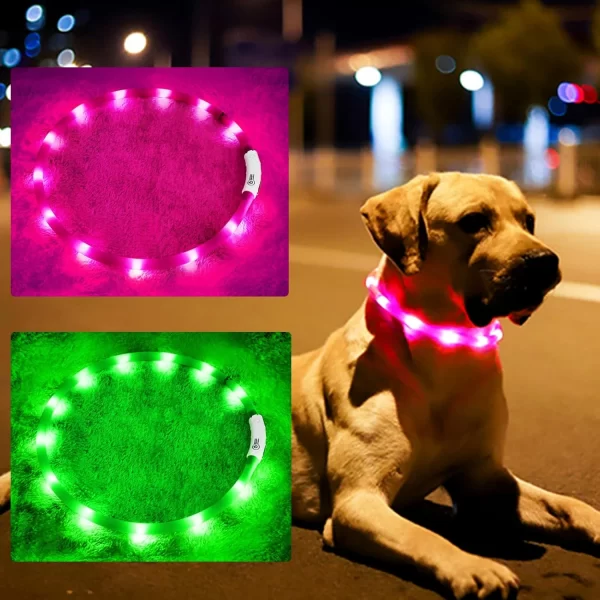 LED Dog Collar, USB Rechargeable Glowing Collars, Light Up Collar Improved Pet Safety &Visibility at Night, 3 Flashing Modes, - Image 11