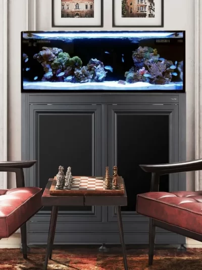 Innovative  - 40 Gallon Long AIO Aquarium and APS Black Stand