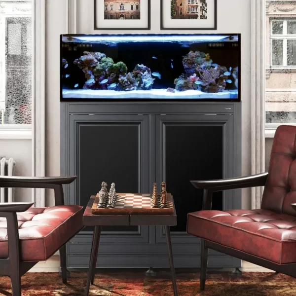 Innovative  - 40 Gallon Long AIO Aquarium and APS Black Stand