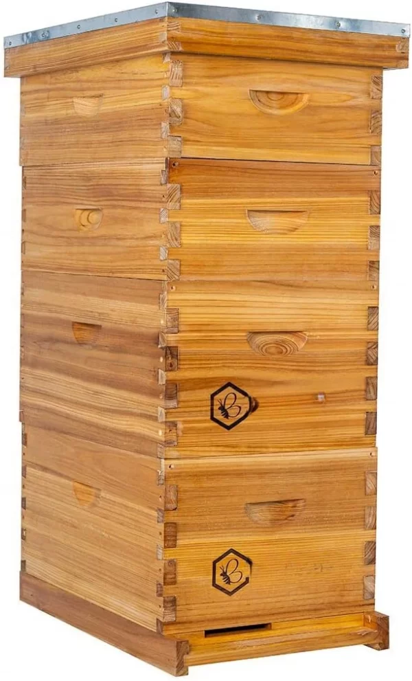 8 Frame Langstroth Bee Hive Coated with 100% Beeswax Includes Beehive Frames and Waxed Foundations (2 Deep Boxes&2 Medium Boxes) - Image 6
