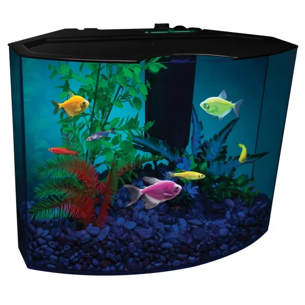 5 Gallon Aquarium Kit with Light and Internal Filter Crescent Shaped Fluorescent Fish Tank Complete Aquarium Setup - Image 2