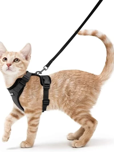 Cat Harness and Leash Soft Adjustable Breathable Vest Heavy Duty Easy Control Outdoor Walking Training