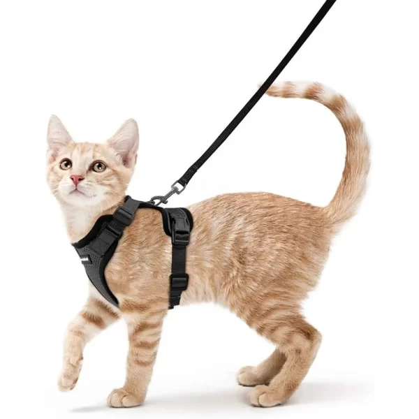Cat Harness and Leash Soft Adjustable Breathable Vest Heavy Duty Easy Control Outdoor Walking Training