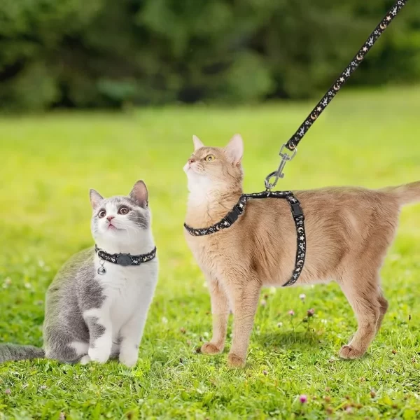 Adjustable Escape Proof Cat Harness Leash Collar Set Glow in The Dark H-shaped Star Moon Pattern - Image 3