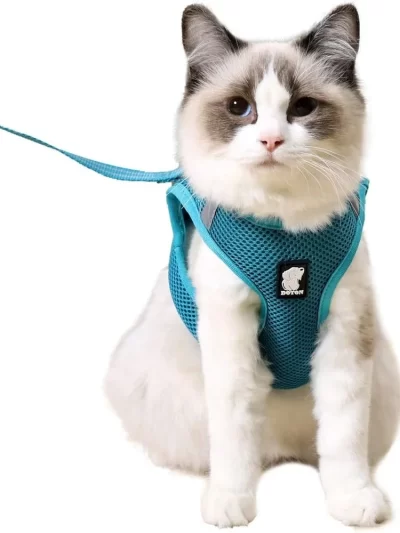 Lightweight Cat Harness and Leash Set Escape Proof Adjustable Comfortable Jacket Safe Outdoor Walking