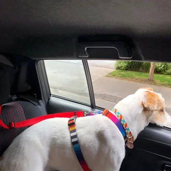 Solid Color Two-in-one Pet Car Seat Belt Nylon Lead Leash Backseat Safety Belt Adjustable Dog/Cat Harness Collar Pet Accessories - Image 4