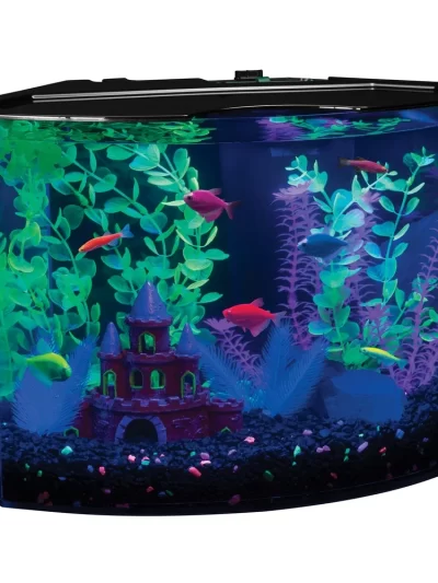5 Gallon Aquarium Kit with Light and Internal Filter Crescent Shaped Fluorescent Fish Tank Complete Aquarium Setup